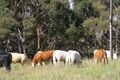 Property photo of 106 Hunt Road Mount Barker SA 5251