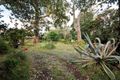 Property photo of 14 Pascoe Avenue Croydon VIC 3136