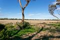 Property photo of 20 South East Terrace Owen SA 5460