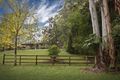 Property photo of 1667 Yarramalong Road Yarramalong NSW 2259