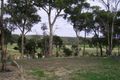 Property photo of 121 Nankervis Road Mandurang VIC 3551