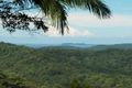 Property photo of 31 Hinchinbrook Road Burringbar NSW 2483