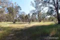 Property photo of 210 Armstrong Road Kialla East VIC 3631