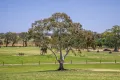 Property photo of 764 Flaxley Road Flaxley SA 5153