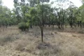 Property photo of 126 Tolmah Court Tara QLD 4421