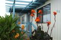 Property photo of 66 McLeod Road Middleton SA 5213