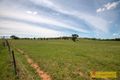 Property photo of 14 Zimmler Lane Gulgong NSW 2852
