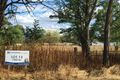 Property photo of 13 Thomas Street Moonbi NSW 2353
