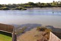 Property photo of 51 Walton Way Currarong NSW 2540