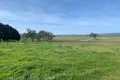 Property photo of 105 Broadford-Glenaroua Road Broadford VIC 3658