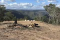 Property photo of 1355 Spa Road Windellama NSW 2580