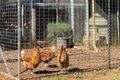 Property photo of 3 Waters Edge Road Robertson NSW 2577