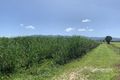 Property photo of 99 Midgenoo Feluga Road Feluga QLD 4854