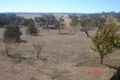 Property photo of 587 Rocky Plain Road Cootralantra NSW 2628