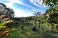 Property photo of 549 Friday Hut Road Possum Creek NSW 2479