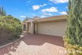 Property photo of 6/11 Almurta Way Nollamara WA 6061