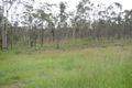 Property photo of 35 Eucalyptus Road Millstream QLD 4888