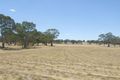 Property photo of 26 Walding Drive Naracoorte SA 5271