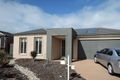 Property photo of 7 Dexter Grove Point Cook VIC 3030