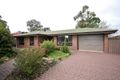 Property photo of 3 Palomino Parade Wynn Vale SA 5127