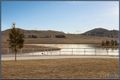 Property photo of 18 Percy Begg Circuit Dunlop ACT 2615