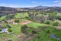 Property photo of 41 Booyong Place Nobbys Creek NSW 2484