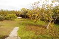 Property photo of 31 Trigg Street Geelong West VIC 3218