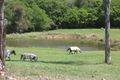Property photo of 56 Omega Lane Eumundi QLD 4562