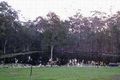 Property photo of 48 Roden Drive Narangba QLD 4504