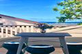 Property photo of 3 Patrick Street Beacon Hill NSW 2100
