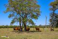Property photo of 121 Old Goomboorian Road Veteran QLD 4570