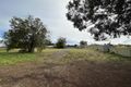 Property photo of 6 White Court Eneabba WA 6518