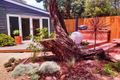 Property photo of 21 Ritchie Avenue Cape Woolamai VIC 3925