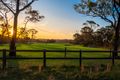 Property photo of 31-33 Calabash Road Arcadia NSW 2159