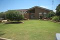 Property photo of 34 Barbara Crescent Risdon Park South SA 5540