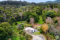 Property photo of 99 Wonga Road Millgrove VIC 3799