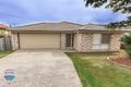 Property photo of 5 Blue Range Drive Algester QLD 4115