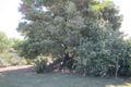 Property photo of 4 Miriam Court Newnham TAS 7248