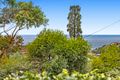 Property photo of 7 Belgrave Street Bronte NSW 2024