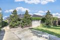 Property photo of 53 Pindari Avenue Camden NSW 2570