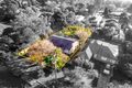 Property photo of 31 Colah Road Mount Colah NSW 2079