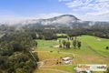 Property photo of 71 Allgomera Road Allgomera NSW 2441