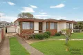 Property photo of 45 Grafton Street Greystanes NSW 2145