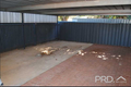 Property photo of 4/216 Eleventh Street Mildura VIC 3500