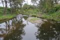 Property photo of 1202 Gradys Creek Road Loadstone NSW 2474