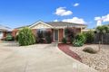 Property photo of 1/9 Kurrajong Court Grovedale VIC 3216