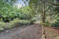 Property photo of 436 Belgrave-Gembrook Road Emerald VIC 3782