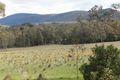 Property photo of 5291 Captains Flat Road Harolds Cross NSW 2622