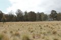 Property photo of 5291 Captains Flat Road Harolds Cross NSW 2622