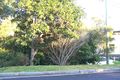 Property photo of 60A Paterson Street Byron Bay NSW 2481